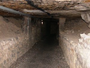 The Catacombs of Paris: Catephiles and Cinemas